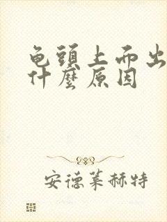 龟头上面出血是什么原因