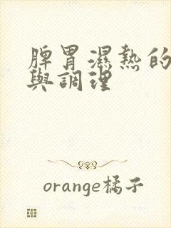 脾胃湿热的症状与调理