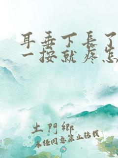 耳垂下长了个包一按就疼怎么办