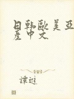 日韩欧美亚洲国产中文