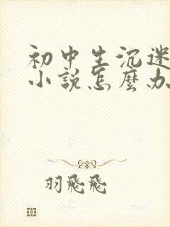 初中生沉迷于看小说怎么办