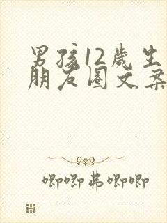 男孩12岁生日朋友圈文案