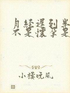 月经迟到半个月不是怀孕是什么原因