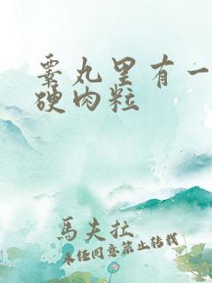 睾丸里有一个小硬肉粒