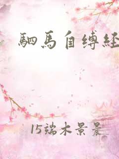 驷马自缚经历