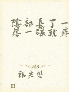 阴部长了一个疙瘩一碰就疼