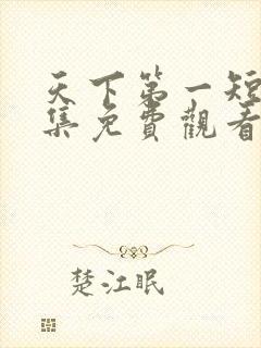 天下第一短剧全集免费观看