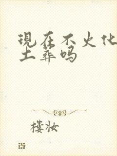 现在不火化可以土葬吗