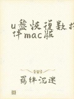 u盘恢复数据软件mac版