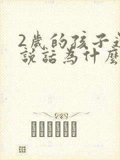 2岁的孩子还不说话为什么