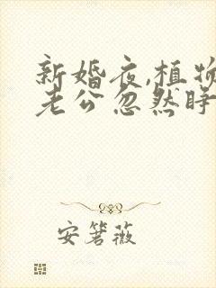 新婚夜,植物人老公忽然睁开眼全文阅读全文