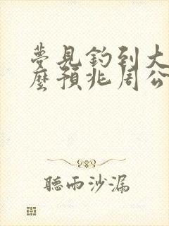 梦见钓到大鱼什么预兆周公解梦