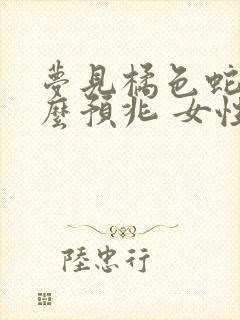 梦见橘色蛇是什么预兆 女性解梦