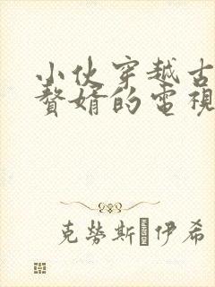 小伙穿越古代成赘婿的电视剧