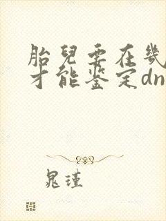 胎儿要在几个月才能鉴定dna