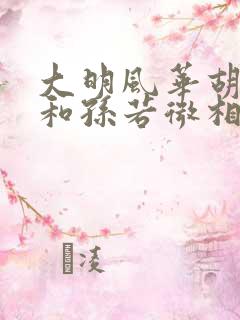 大明风华胡善祥和孙若微相认了吗