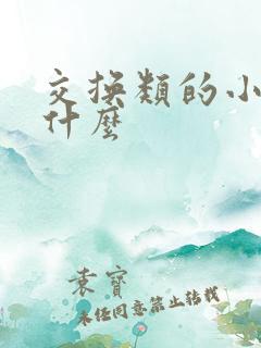 交换类的小说叫什么