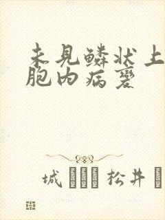 未见鳞状上皮细胞内病变