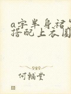 a字半身裙怎么搭配上衣图片