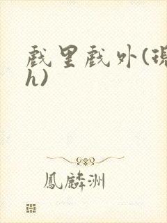 戏里戏外(现场h)