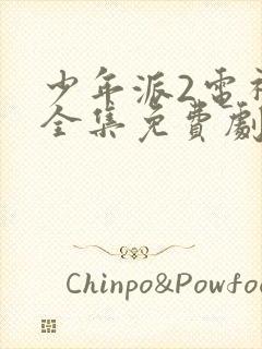 少年派2电视剧全集免费剧情介绍