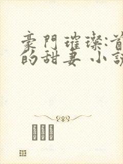 豪门璀璨:首席的甜妻 小说