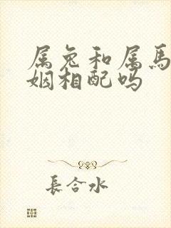 属兔和属马女婚姻相配吗