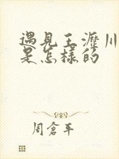 遇见王沥川结局是怎样的