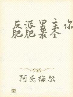 反派男主你好坏肥肥最全