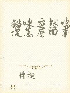 猫咪突然喘气急促怎么回事