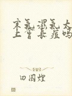 寒气湿气太重脸上会长痘吗