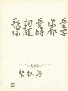 歌词爱你爱你爱你随时都要在一起