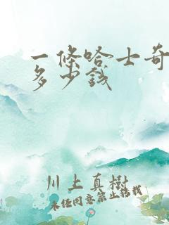 一条哈士奇幼犬多少钱