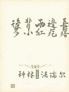 后背两边长了好多小红疙瘩