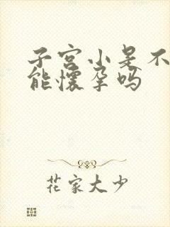 子宫小是不是不能怀孕吗