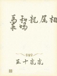 马和龙属相合得来吗