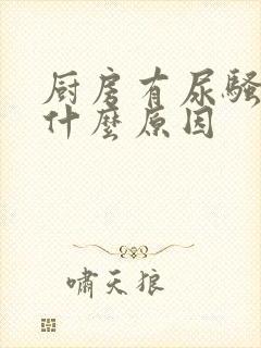 厨房有尿骚味是什么原因