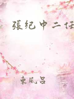 张纪中二任妻子