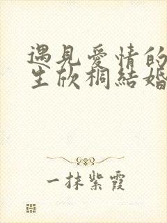 遇见爱情的利先生欣桐结婚