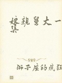 娘亲舅大一共几集