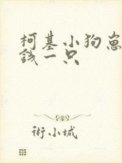 柯基小狗崽多少钱一只