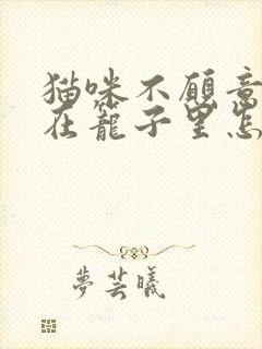 猫咪不愿意被关在笼子里怎么办