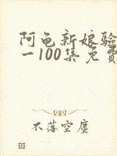 阿龟新娘验婚1一100集免费阅读全文