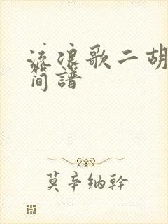 流浪歌二胡g调简谱