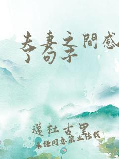 夫妻之间感情淡了句子