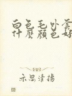 白色毛外套内搭什么颜色好看