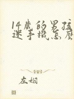 14岁的男孩沉迷手机怎么办