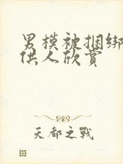 男模被捆绑起来供人欣赏