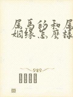 属马的和属牛的姻缘怎么样