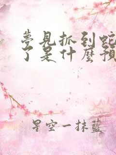 梦见抓到蛇又放了是什么预兆